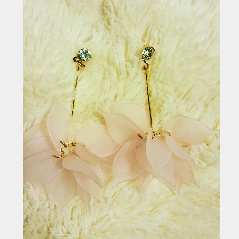 Gorgeous earrings